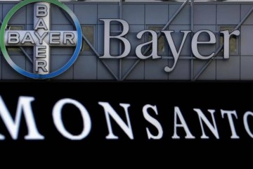 La fusion Monsanto-Bayer n'est pas favorable aux regards des chefs
